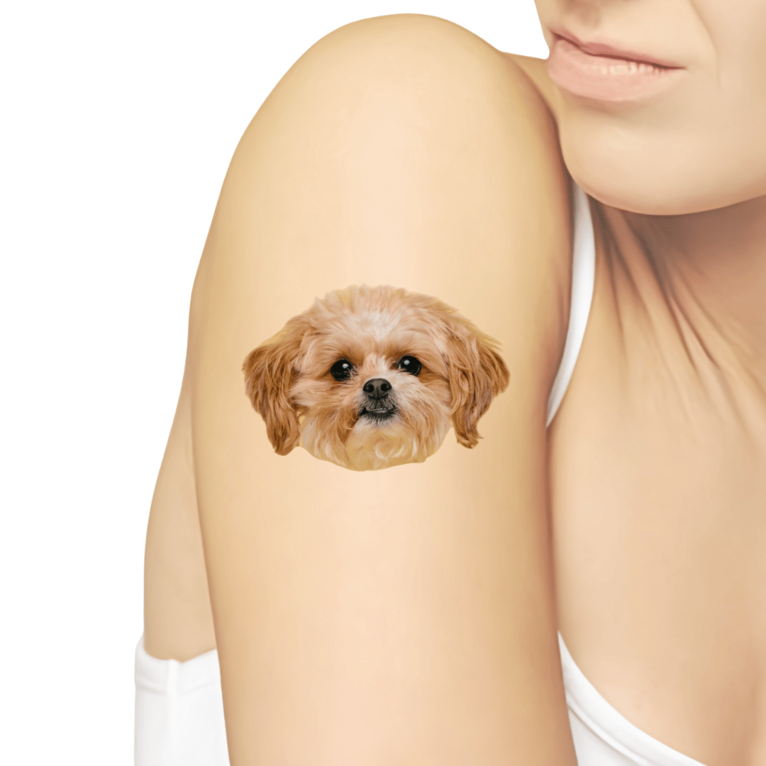 Pet Temporary Tattoos
