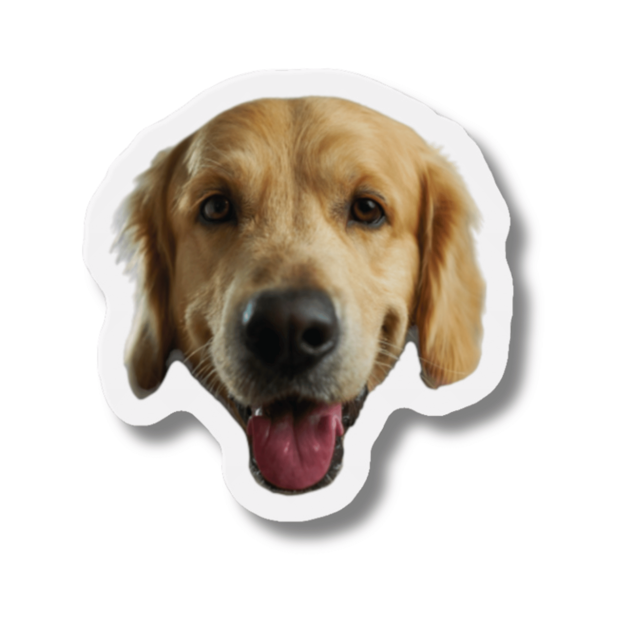 Outline Custom Photo Magnet (Face or Pet)
